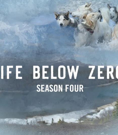 零度以下的生活第四季封面图