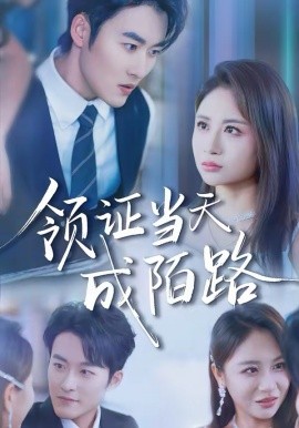 领证当天成陌路封面图