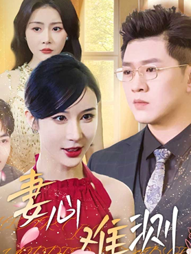 妻心难测封面图