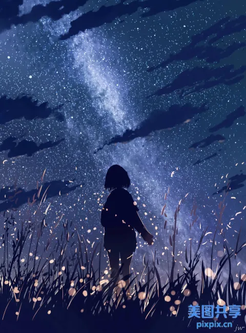 星空，站在田野里的人的剪影