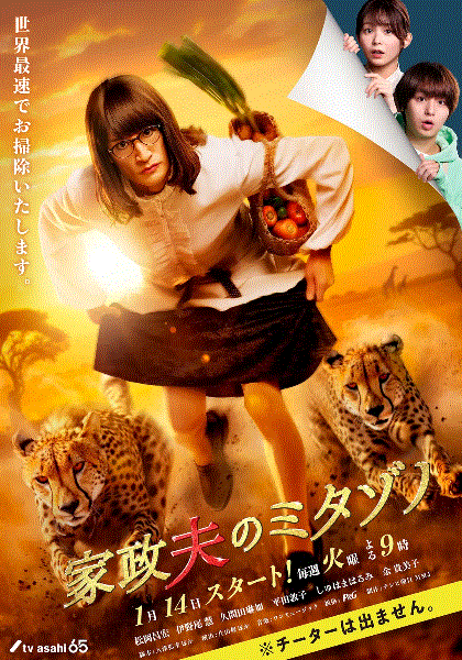 家政夫三田园第七季封面图