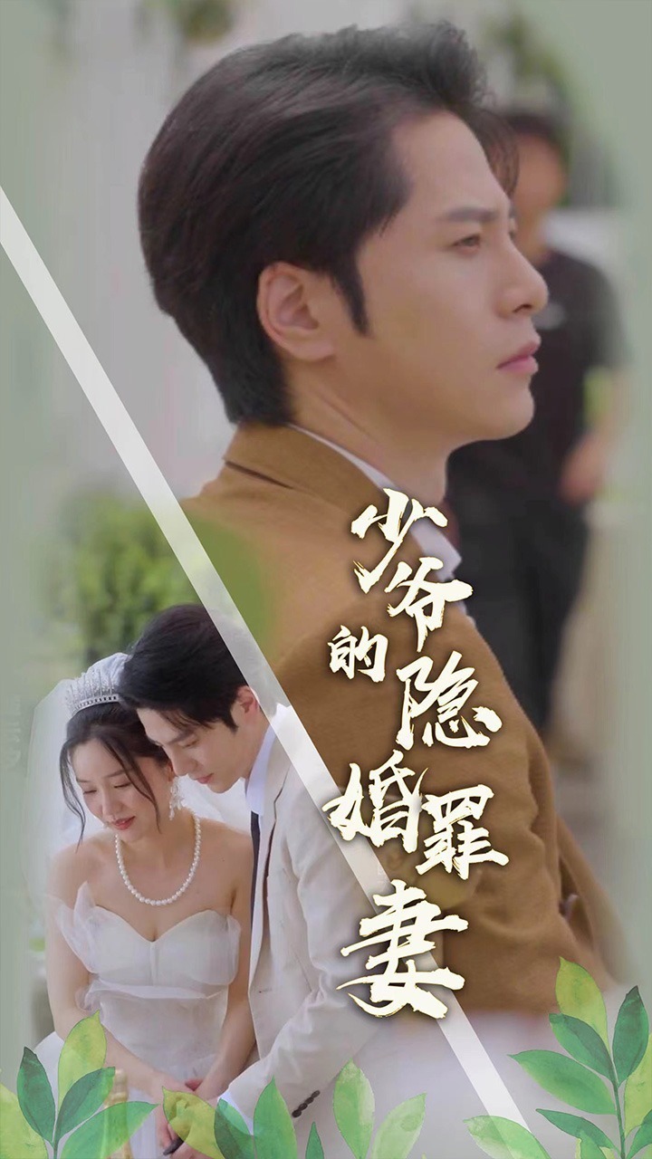 少爷的隐婚罪妻封面图