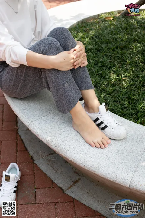 阿拉菲双叉坐在长凳上