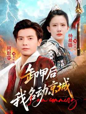 卸甲后我名动京城封面图