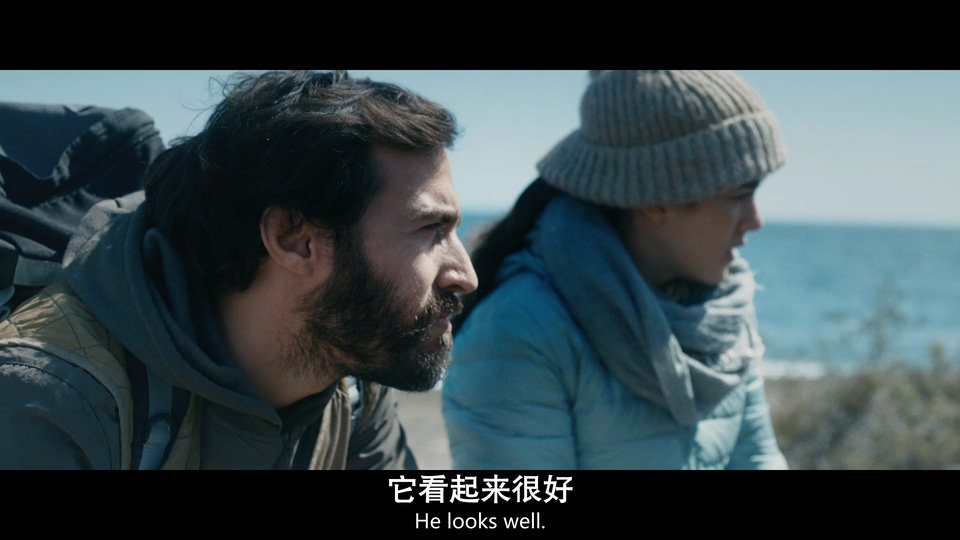 2024巴西剧情《企鹅与渔夫》HD1080P.英语中英双字截图