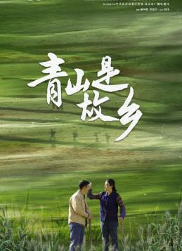 青山是故乡封面图