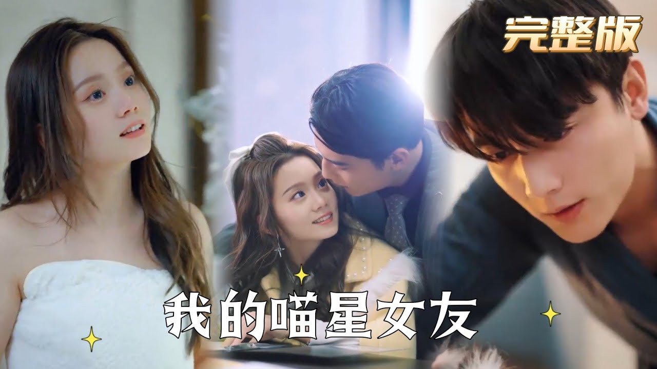 我的喵星女友封面图