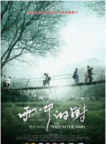 雨中的树封面图