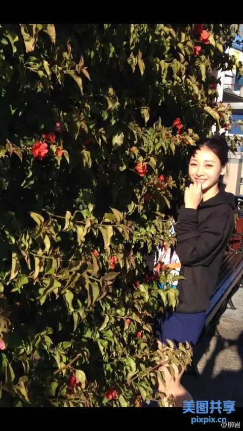 有一个女人站在灌木丛旁边