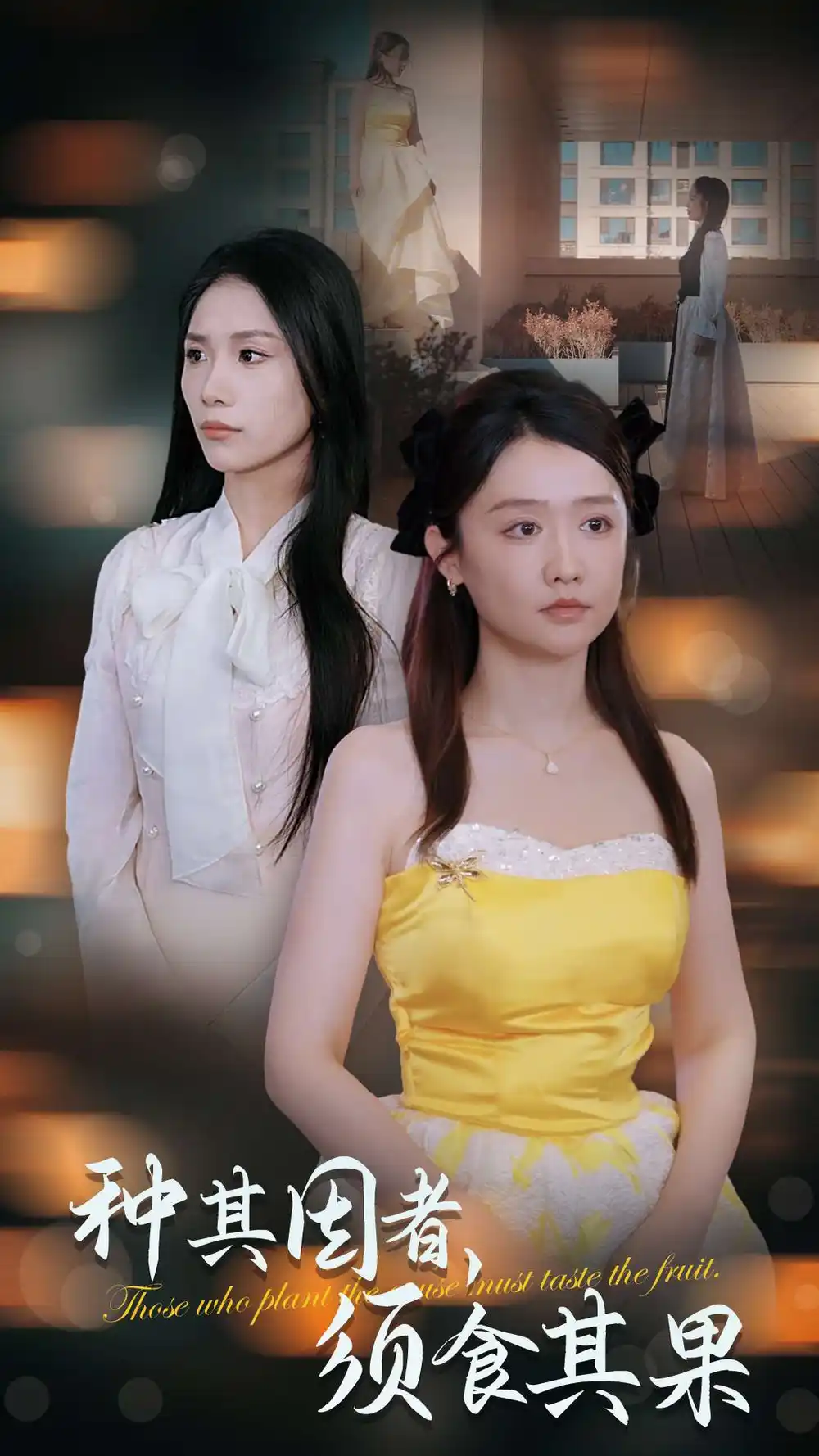 种其因者须食其果封面图