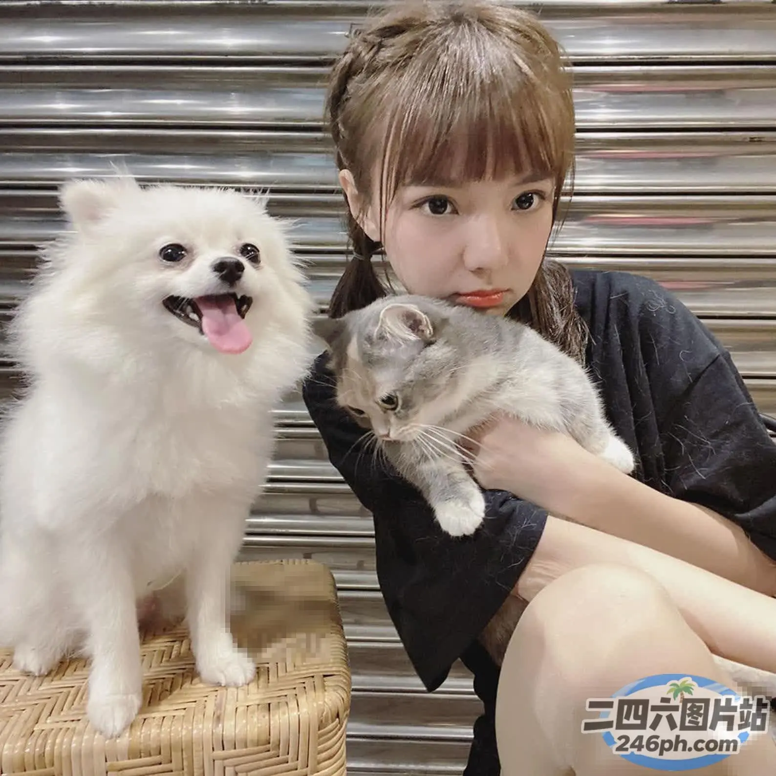 椅子上坐着一个女人抱着一只猫和一只狗