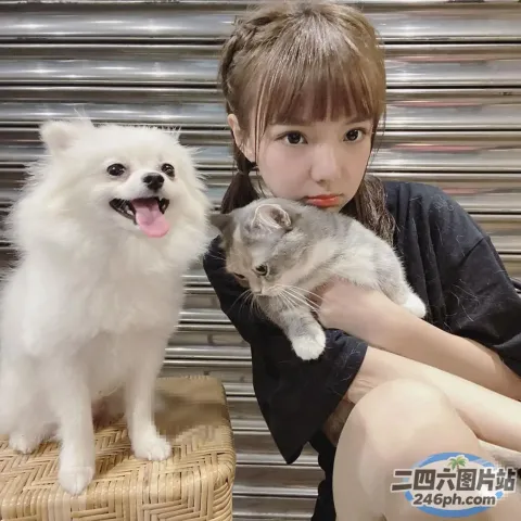 椅子上坐着一个女人抱着一只猫和一只狗