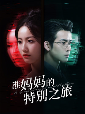 准妈妈的特别之旅封面图