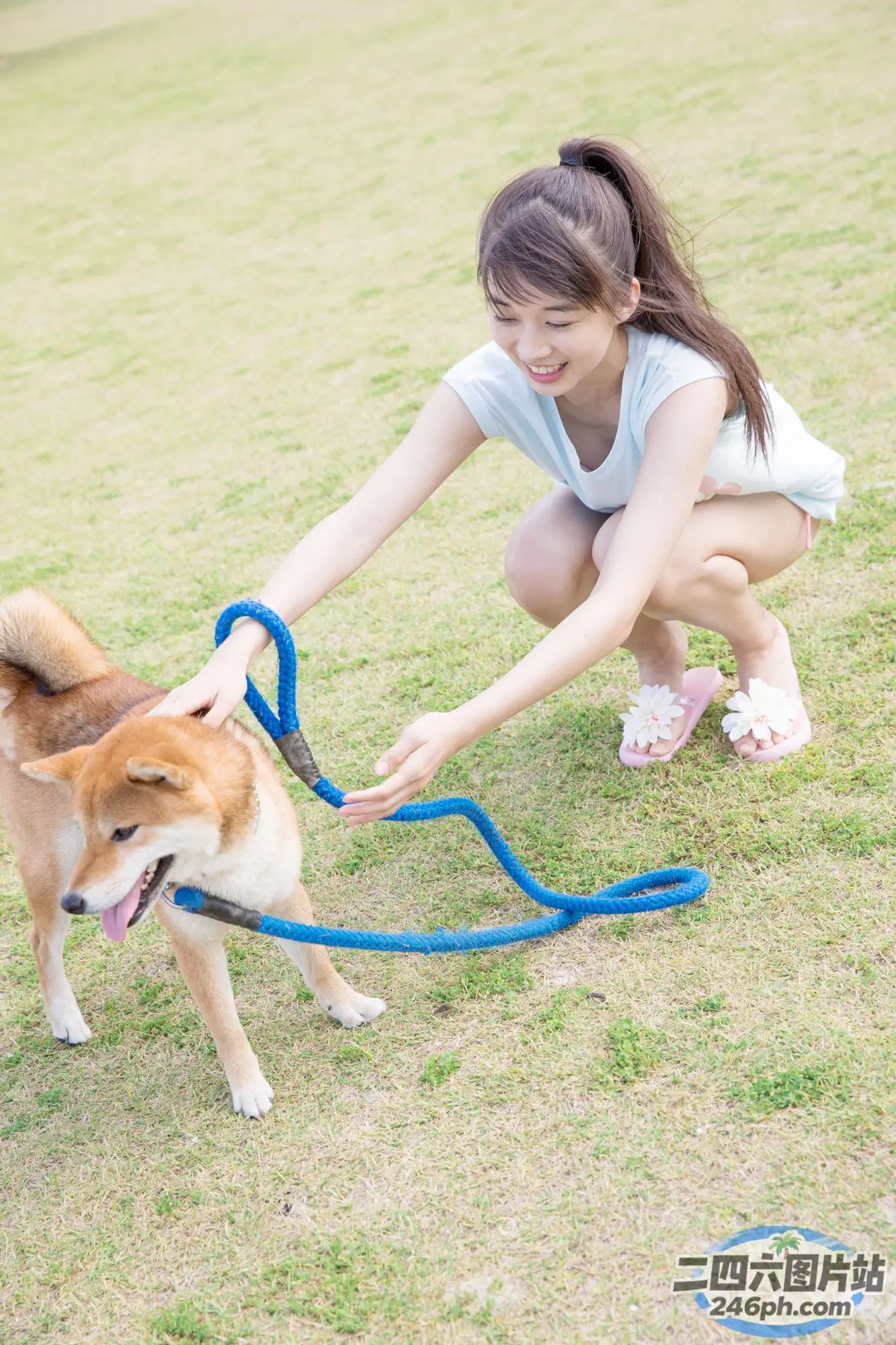 在公园里用皮带抚摸狗的妇女