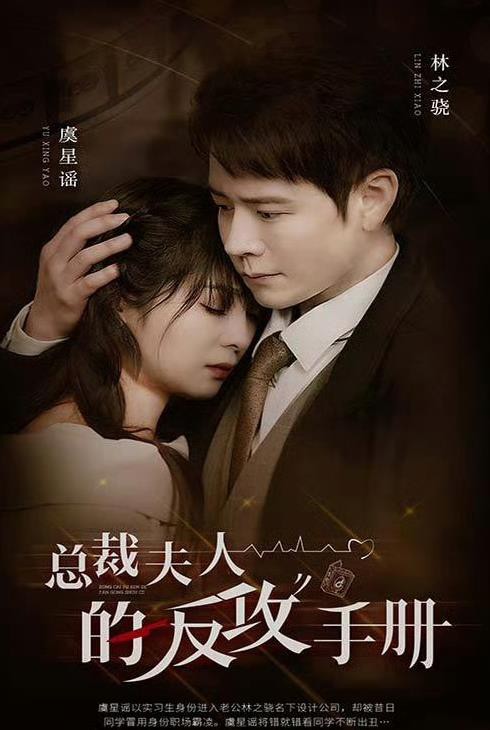 总裁夫人的反攻手册封面图