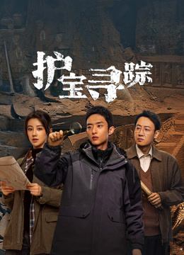 护宝寻踪封面图