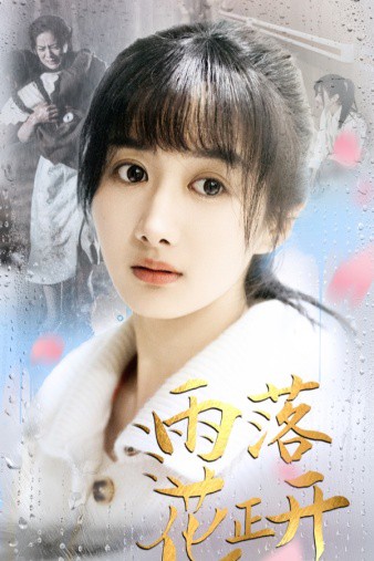 雨落花正开封面图