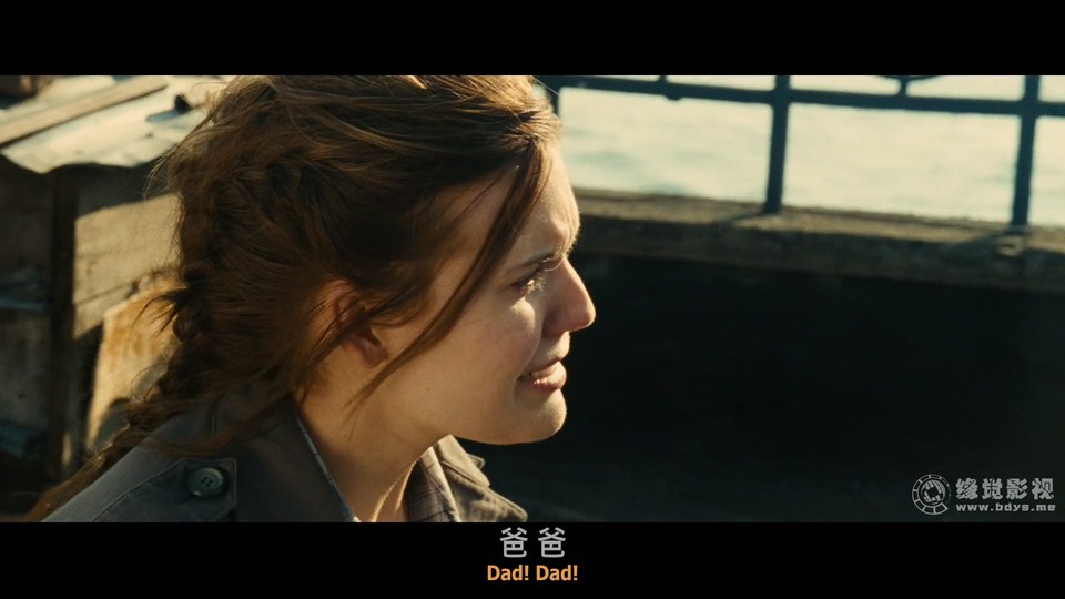 2012动作犯罪《飓风营救2》BD1080P.英语特效中英双字截图