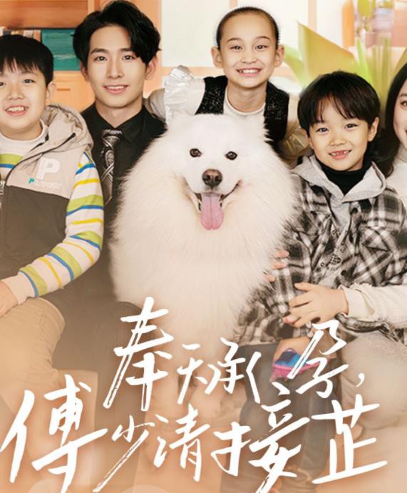 奉天承孕：傅少请接芷封面图