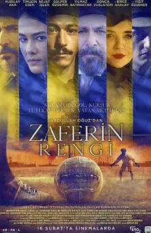 胜利的颜色封面图