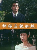 神猫与铁蜘蛛封面图