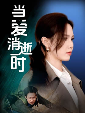 当爱消逝时封面图