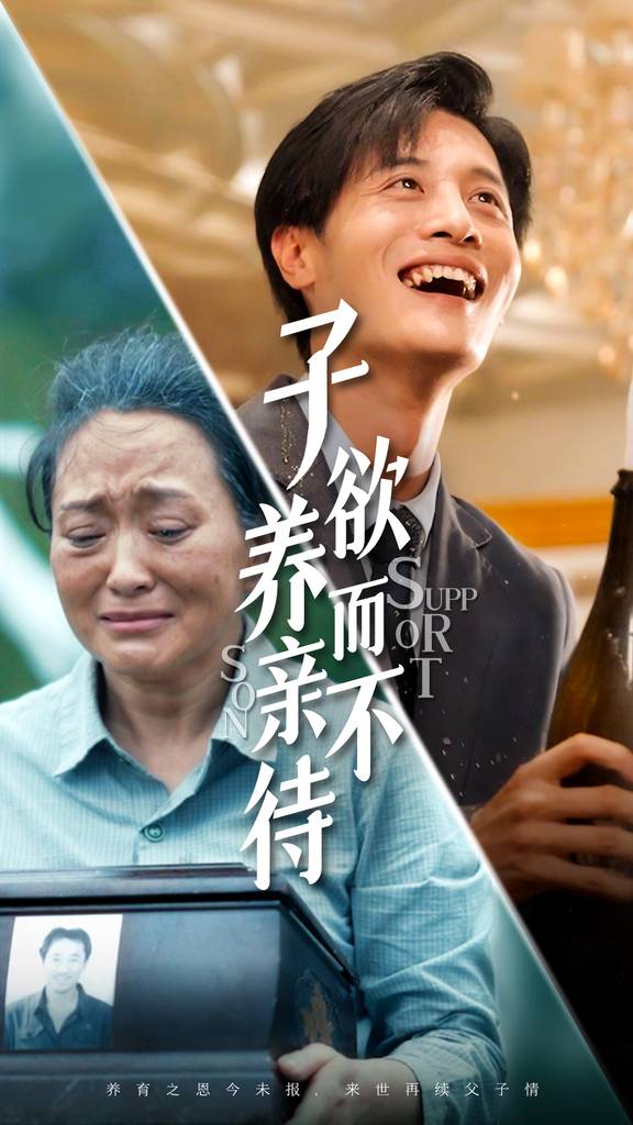 子欲养而亲不待封面图