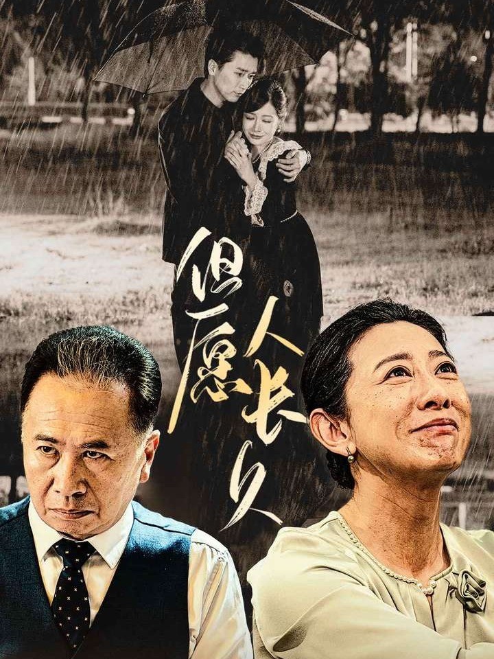 但愿人长久封面图