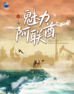 魅力阿联酋封面图
