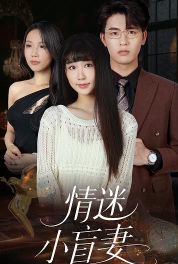 情迷小盲妻封面图