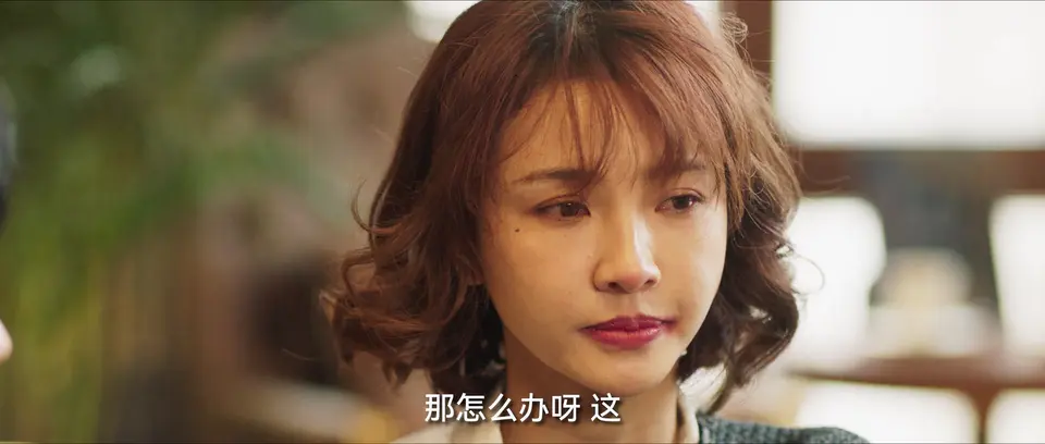 2024国产喜剧《飞来横财》HD1080P.国语中字截图