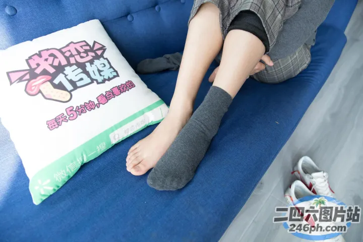 阿拉菲在蓝色沙发上小睡，上面放着枕头和一双袜子