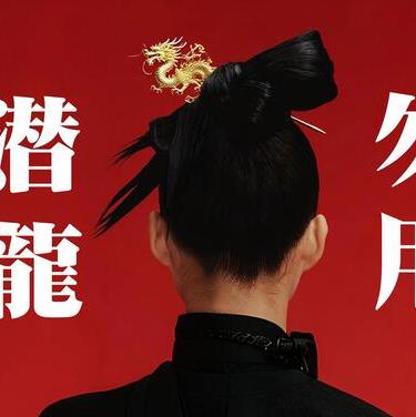 潜龙勿用封面图