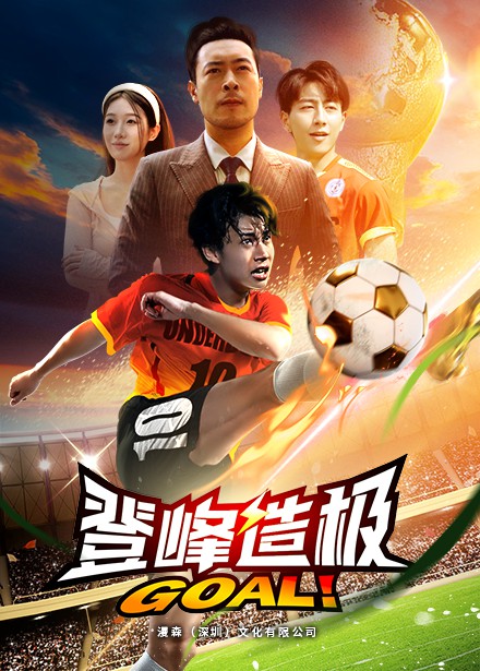 登峰造极封面图