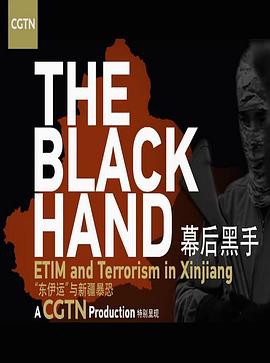 幕后黑手——“东伊运”与新疆暴恐封面图