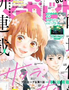 樱花、绽放