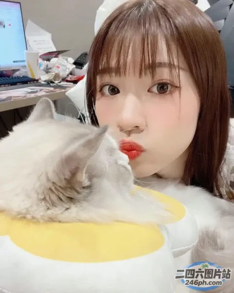 Araffe 腿上抱着一只猫，一个女人腿上抱着一只猫