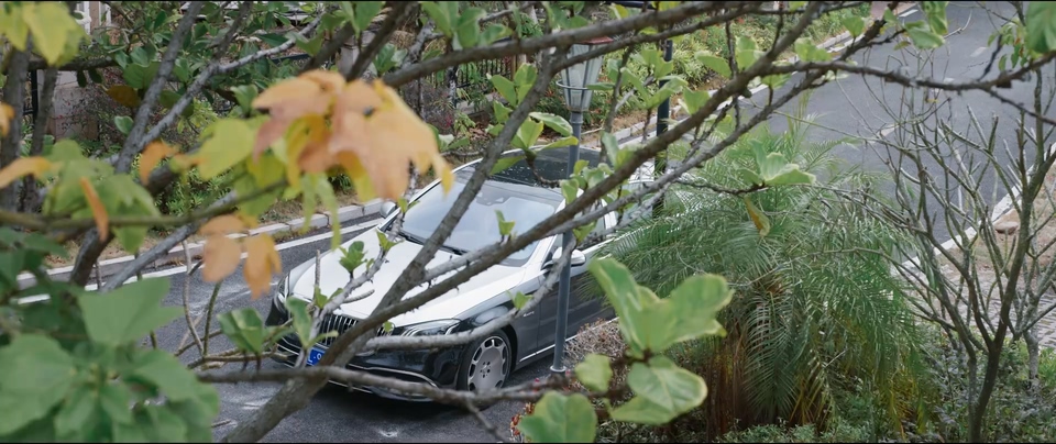 2026国剧《金关》更至06集.HD1080P.国语中字截图