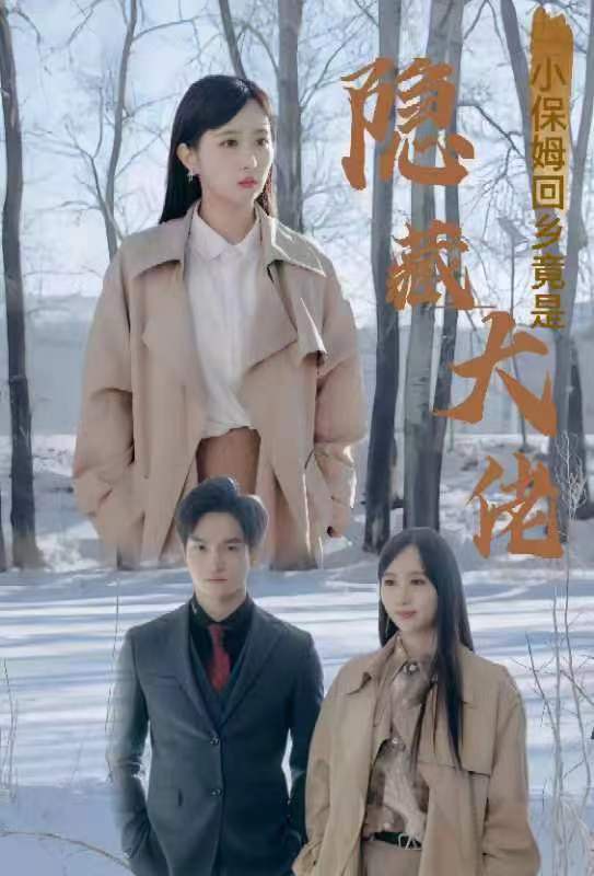 小保姆回乡竟是隐藏大佬封面图