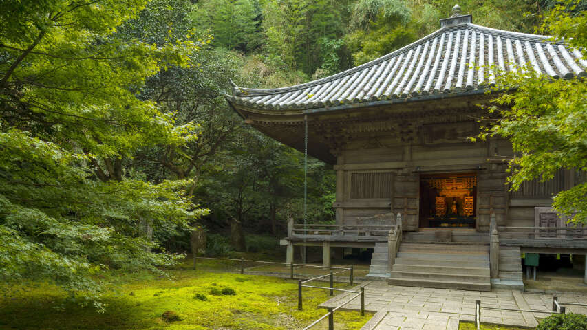 绿地中间有一座小建筑