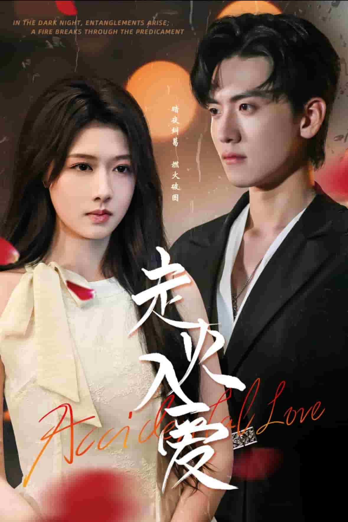 走火入爱封面图