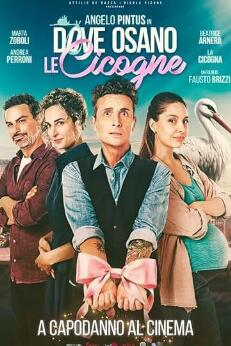 鸽子飞翔的地方封面图