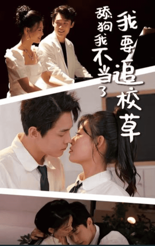 舔狗我不当了我要追校草封面图