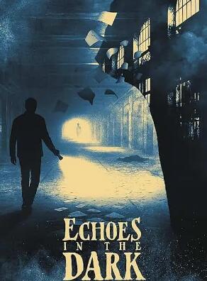 黑暗中的回声封面图