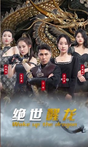 绝世醒龙封面图