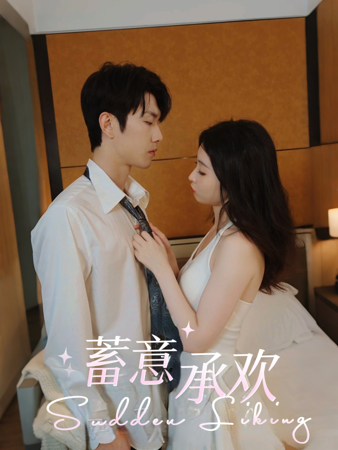 蓄意承欢封面图