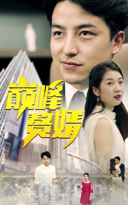 巅峰赘婿封面图