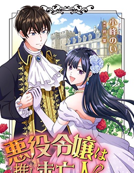 恶役千金是神推寡妇~转生之后改写婚约者的命运!