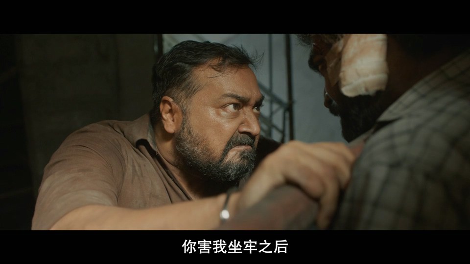 2024惊悚动作《因果报应》HD1080P.泰米尔语中字截图