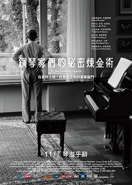 钢琴家们的秘密炼金术封面图